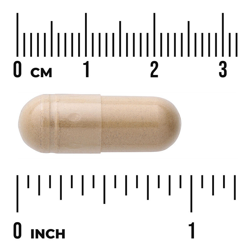 Ginger Root - Full Spectrum