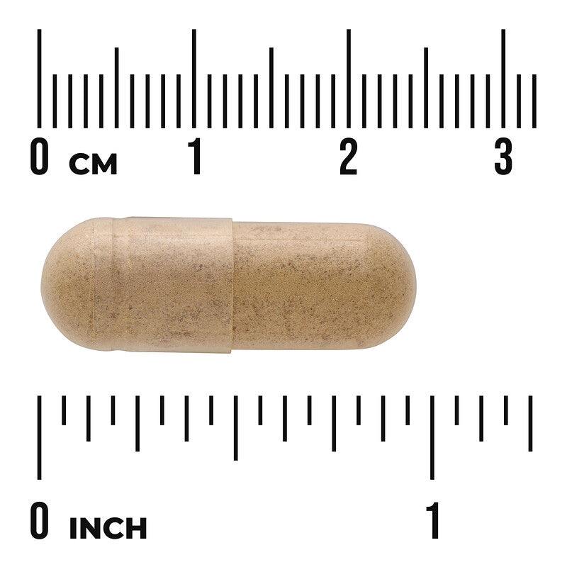 Milk Thistle - Full Spectrum Swason