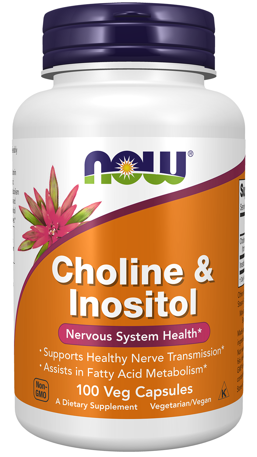 Choline & Inositol - 100 Caps