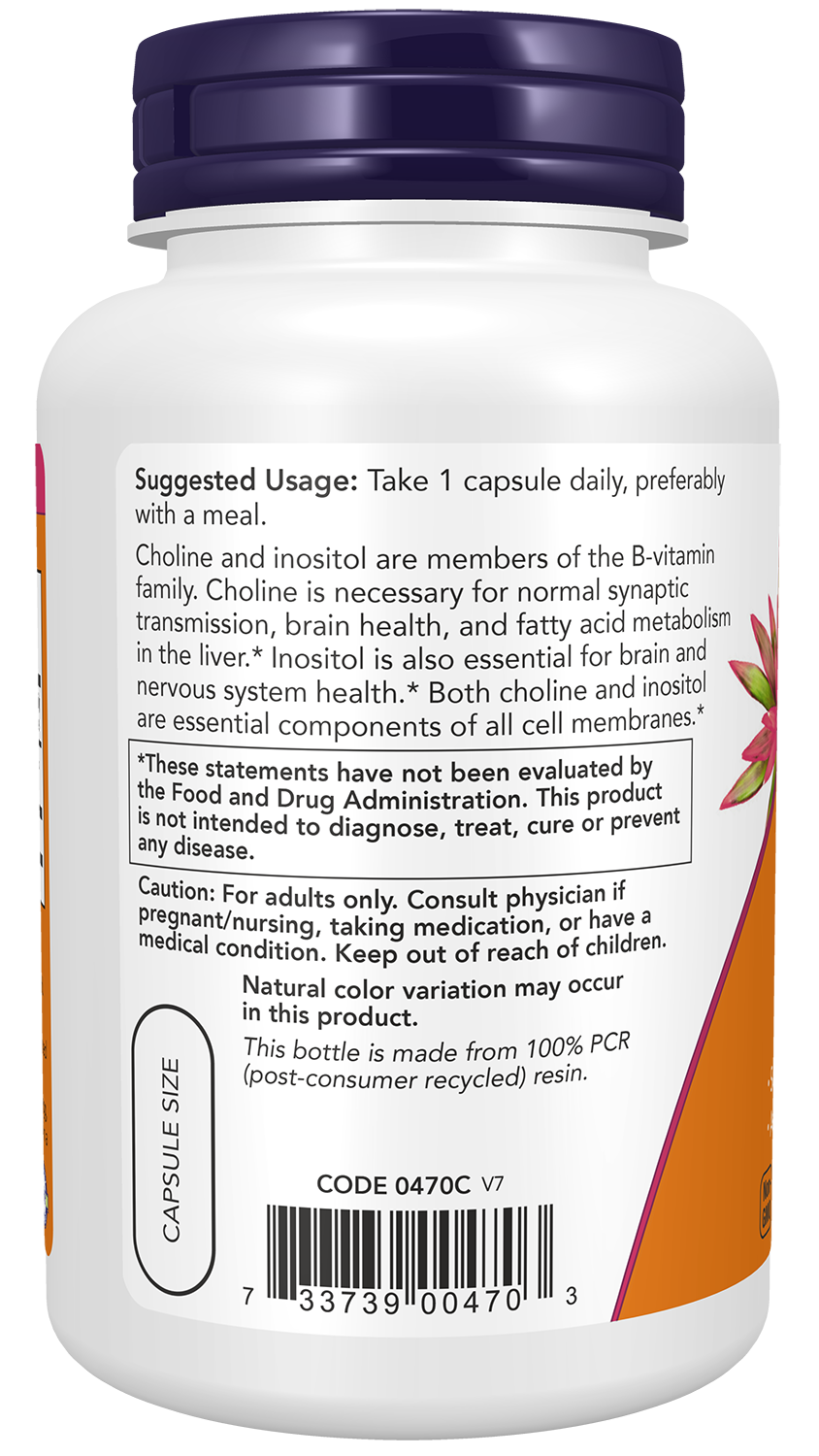 Choline & Inositol - 100 Caps