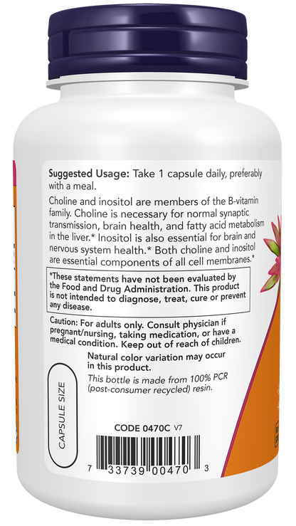 Choline & Inositol - 100 Caps